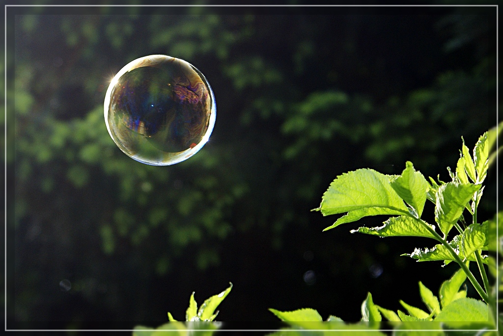 comp_Seifenblase.jpg