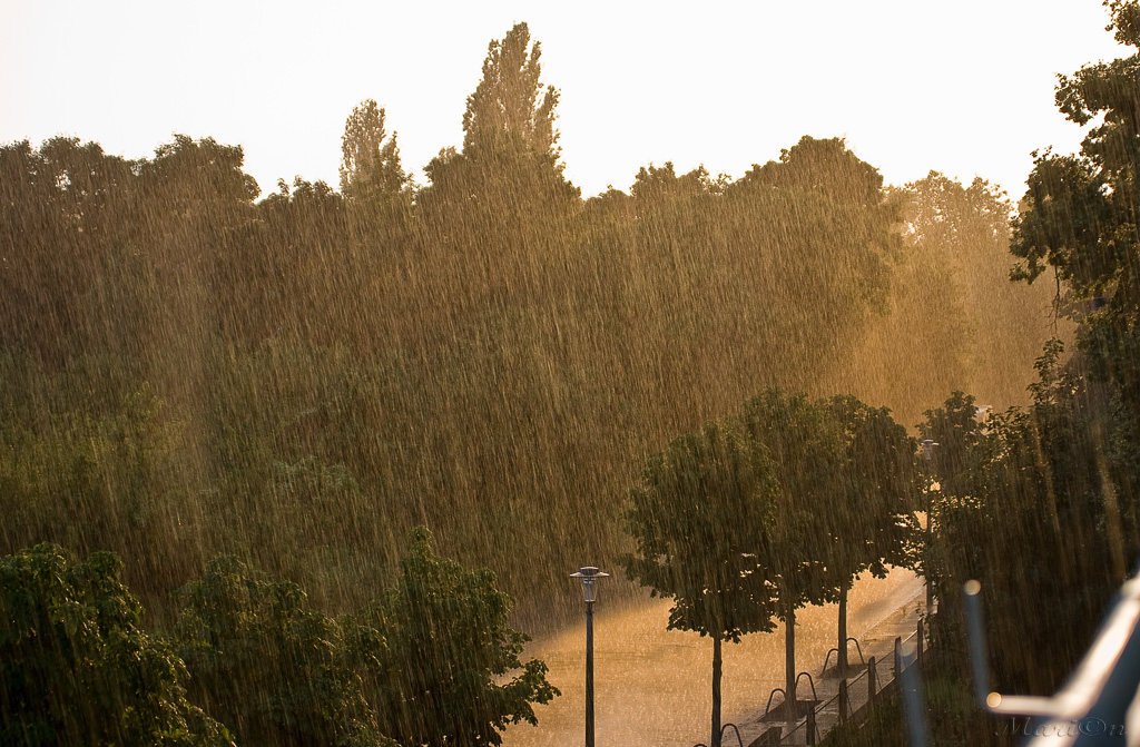 leuchtender Regen - 2008_IMGP9101_Haus.jpg 2008_IMGP9101_Haus.jpg
