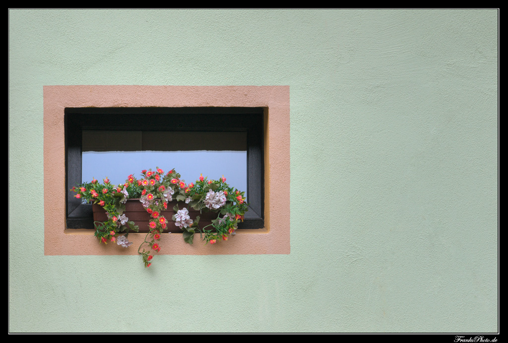 Blumenfenster.jpg