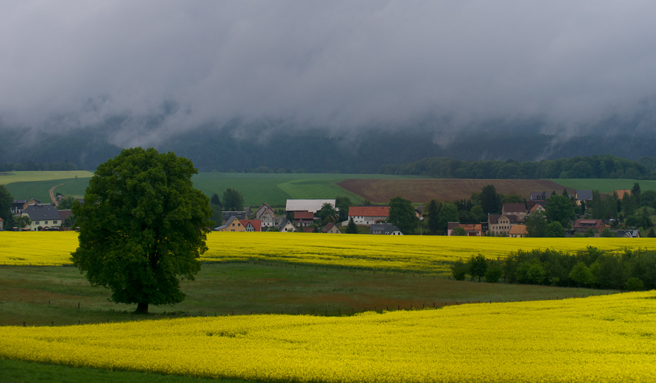 Sächsiche Schweiz 5 - _dsc3595-bearbeitet.jpg _dsc3595-bearbeitet.jpg
