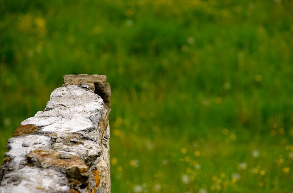 _dsc3674-bearbeitet.jpg