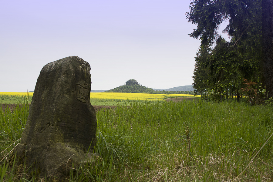 Kronenstein - img_22092-2b.jpg img_22092-2b.jpg
